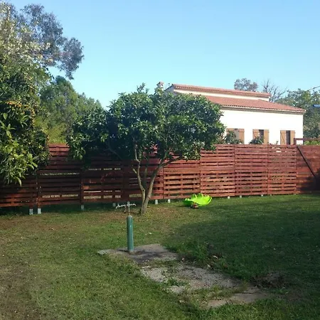 U Mo Sognu A 400m De La Mer Casa de Férias Figareto